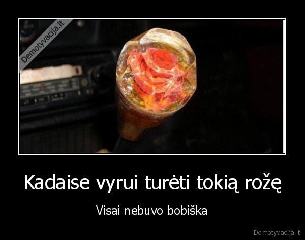 roze,pavaru, svirtis,begiai