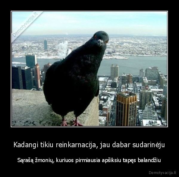 balandis,reinkarnacija,po, mirties