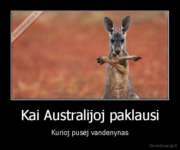 kengura,rodo, krypti,australijos, zemynas