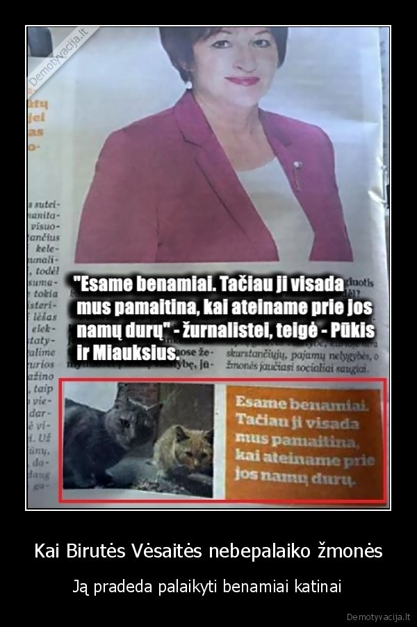 Kai Birutės Vėsaitės nebepalaiko žmonės