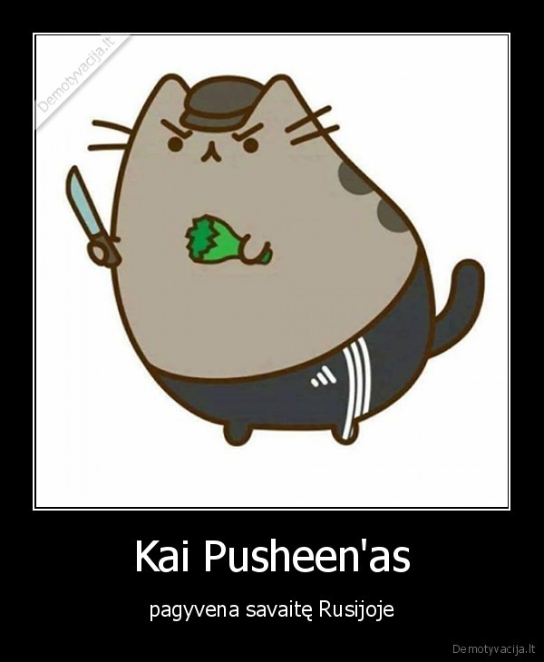 pusheen,kate,katinas,rusija