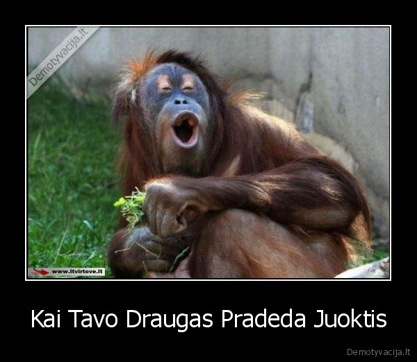 Kai Tavo Draugas Pradeda Juoktis