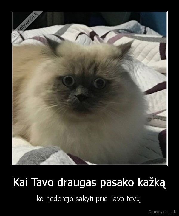 Kai Tavo draugas pasako kažką