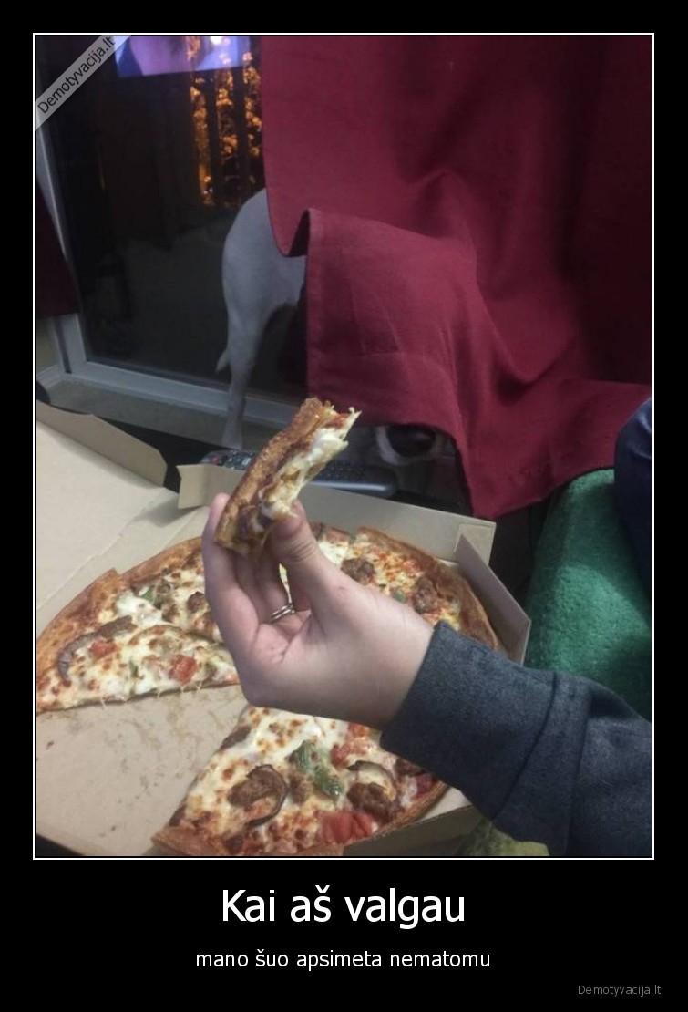 augintiniai,sunys,valgau,nematomas