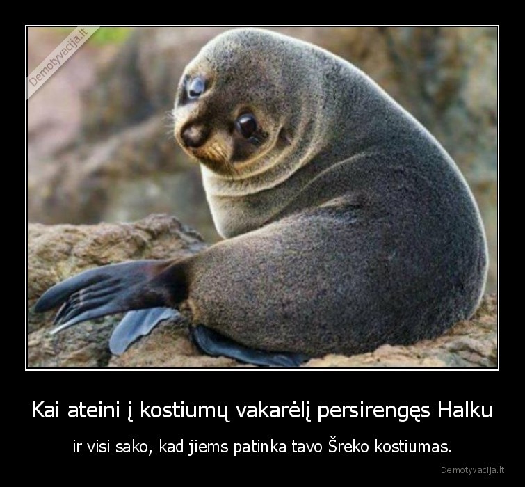 srekas,halkas,kostiumas,storas