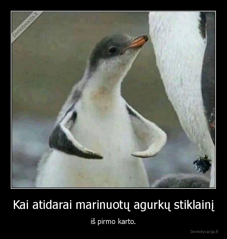 marinuoti, agurkai,stiprumas