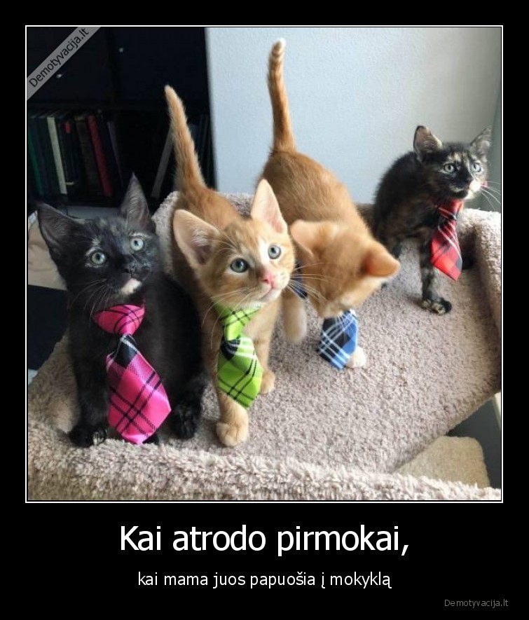 mama,pirmokai,mokykla,pamokos,mokslai