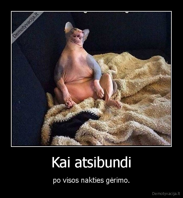 kate,katinas,gerimas