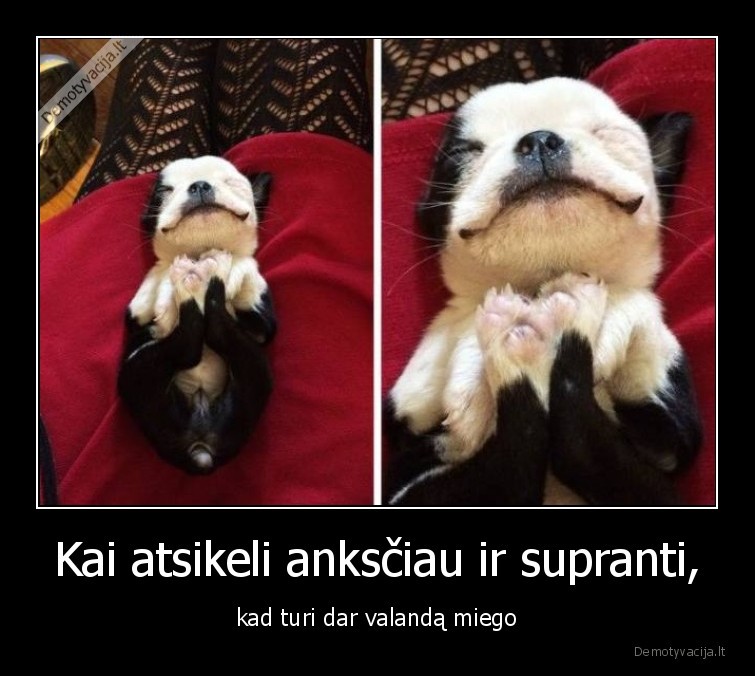 miegas,rytas,anksciau