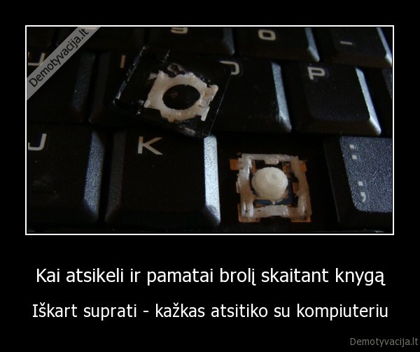 kai, atsikeli, ir, pamatai, broli, skaitant, knyga, iskart, suprati, kazkas, atsitiko, su