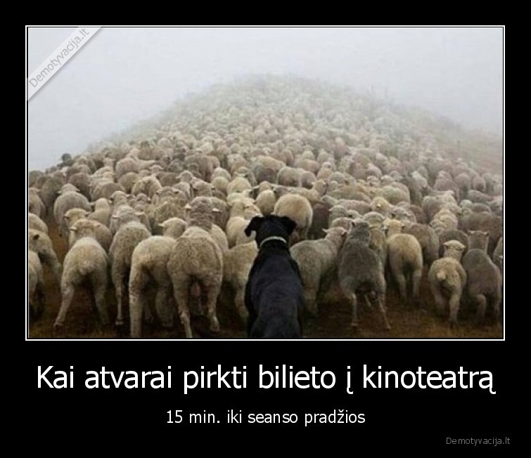 kinoteatras,eile,daug, zmoniu,suo,avys