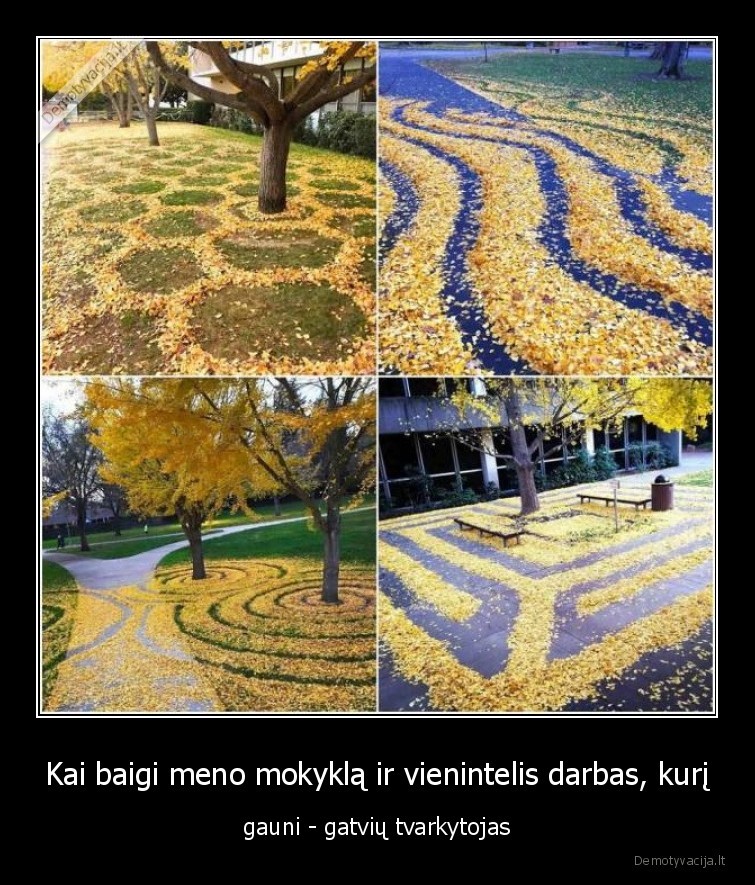 komunalininkas,lapu, grebimas