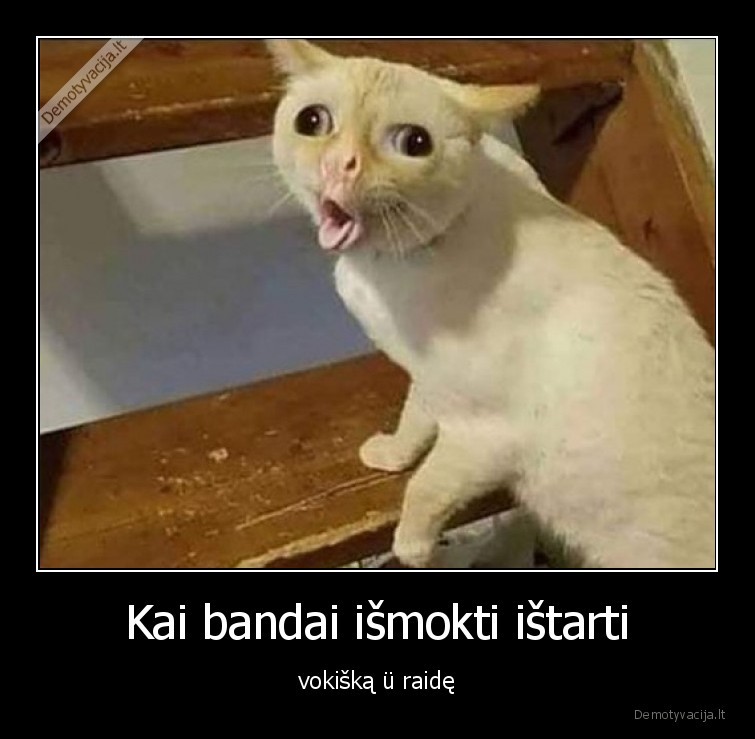 raide,vokieciu,kalba,katinas