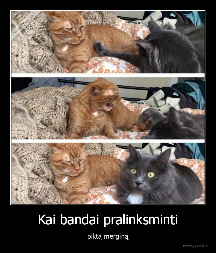 merginos,santykiai,vaikinai