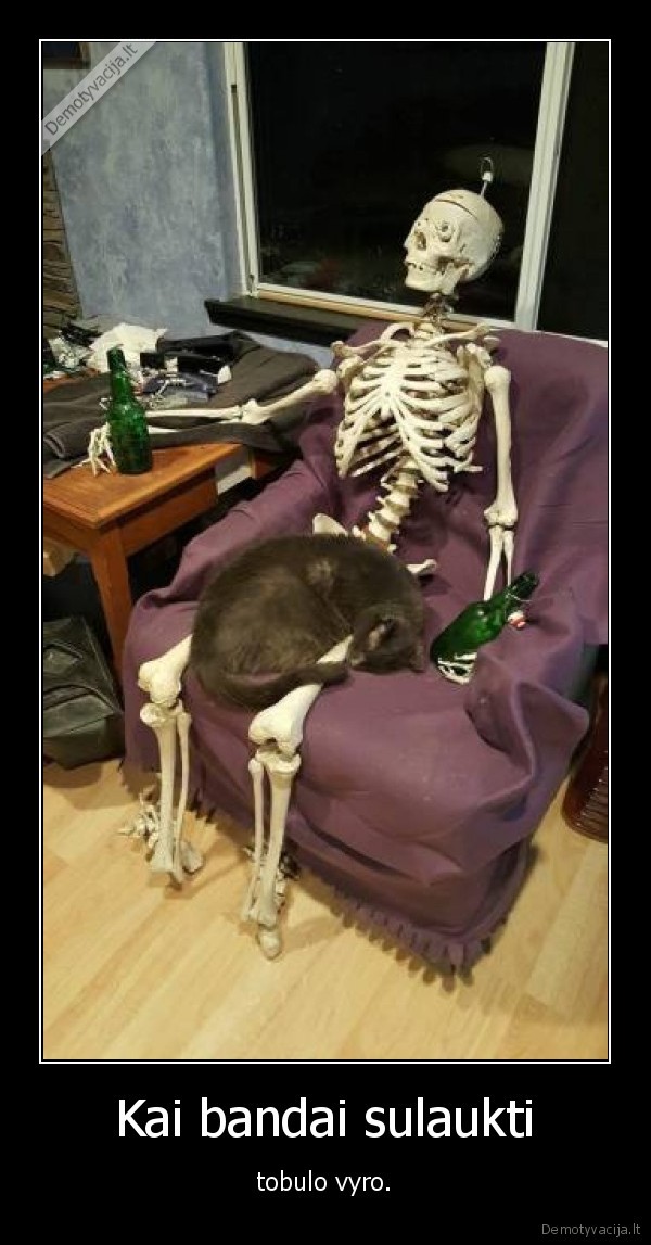 vyras,skeletas,moteris,kate,katinas