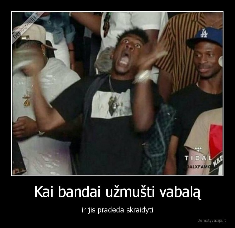 vabalas,pradeda,skraidyti