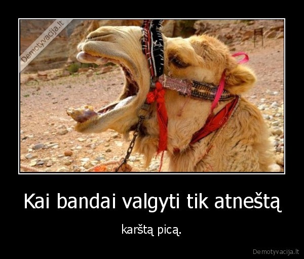 karsta, pica,kupranugaris,karsta