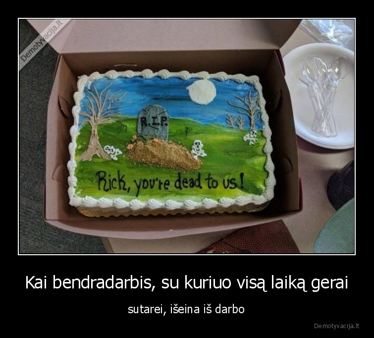 bendradarbis,darbas,kolega,tortas