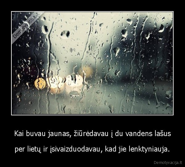 lietus,vandens, lasai,lenktynes