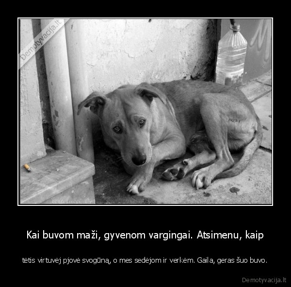 juodas, humoras,svogunas,seni, laikai