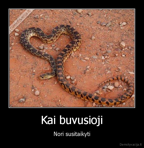 buvusi, mergina,sirdele,gyvate