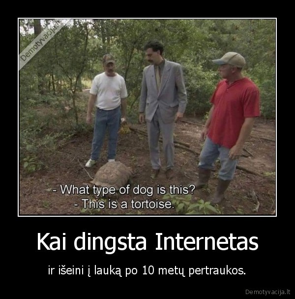 boratas,suo,internetas,laukas