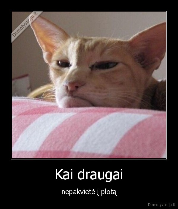 draugai,liudeti,nepakviete