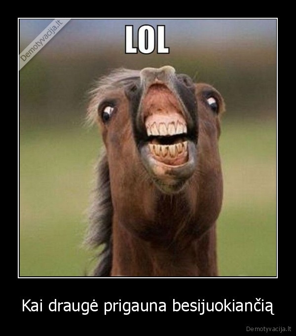 sypsena,fail,draugai