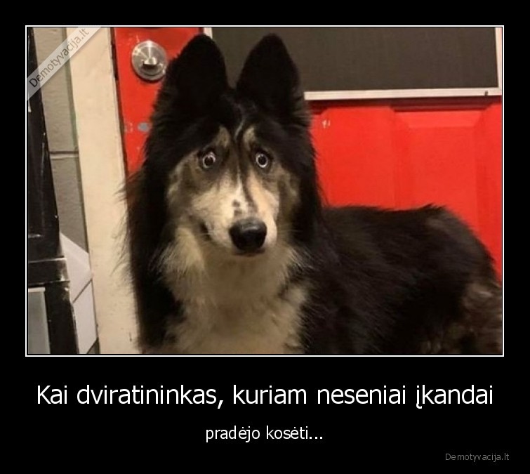 suo,koseja,dviratininkas,pandemija,virusas