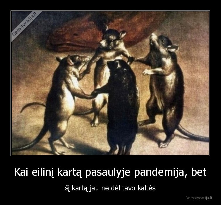 pandemija,ziurkes,epidemija