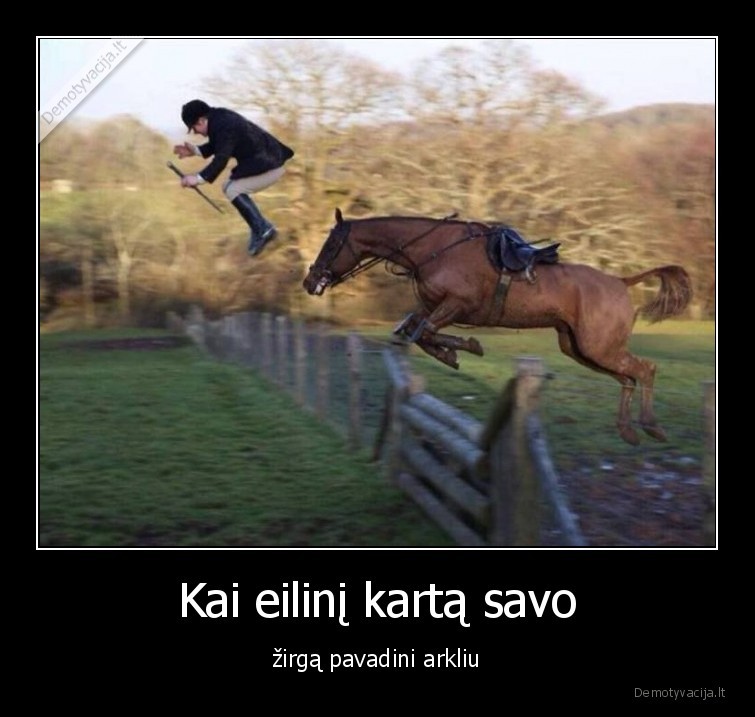 zirgas,arklys,joja,zokejas