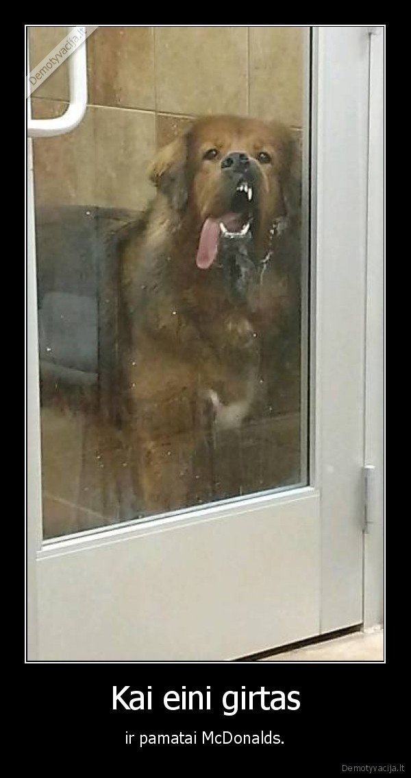 mcdonalds,girtumas