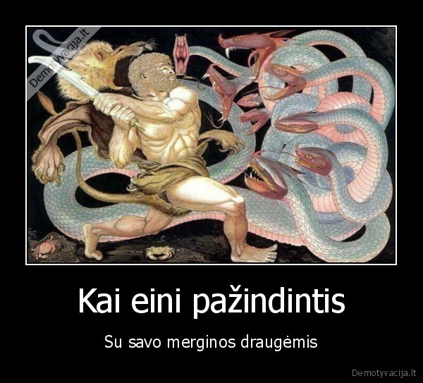 drauges,pazintys,gyvates