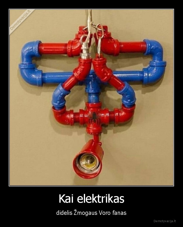 elektrikas,zmogus,voras