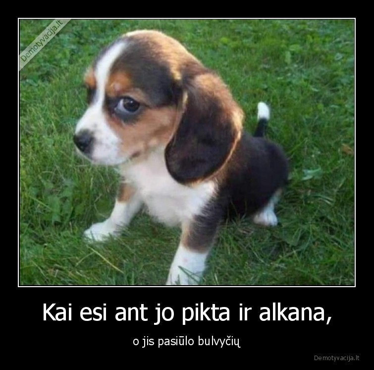 mergina,suo,alkis,bulvytes