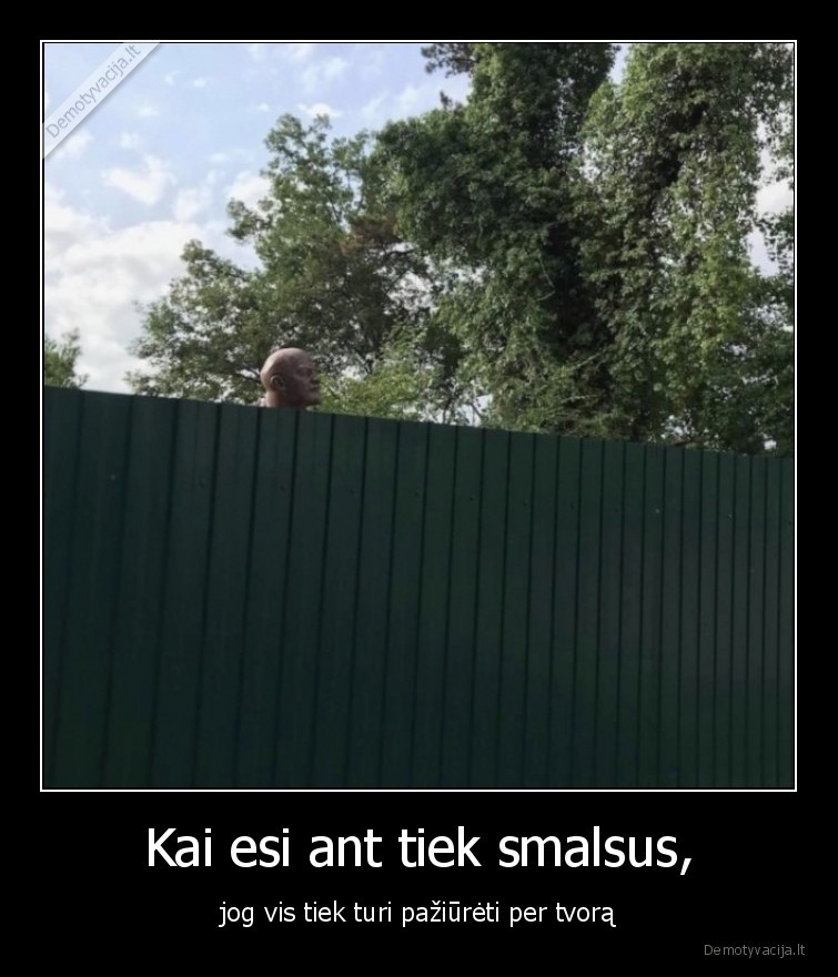 smalsus,kaimynai,tvora