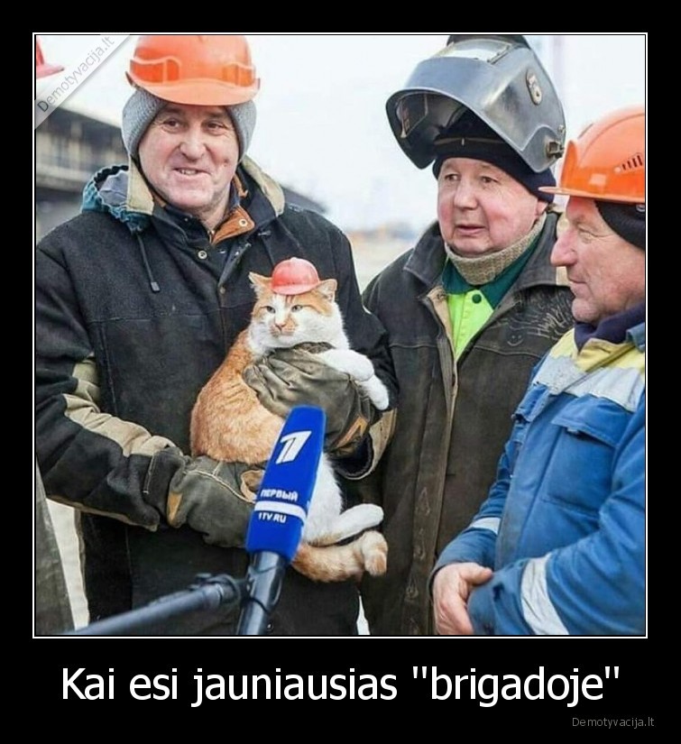 Kai esi jauniausias ''brigadoje''