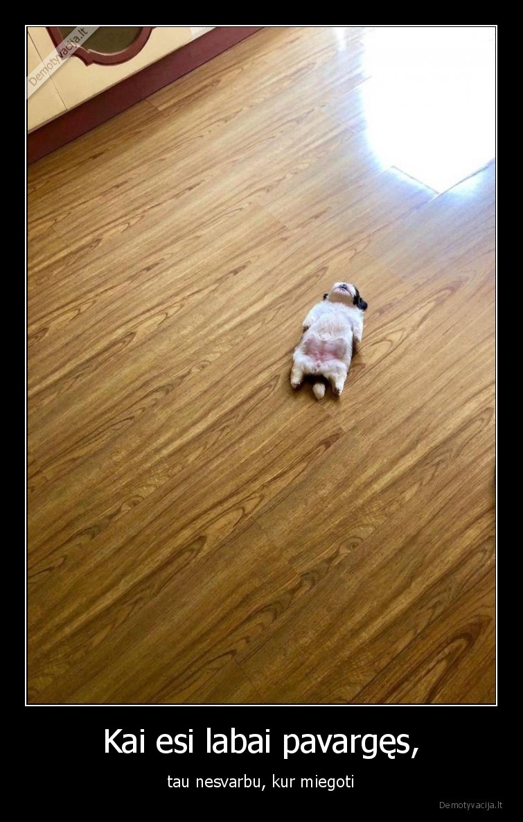 suniukas,pavarges,miegas