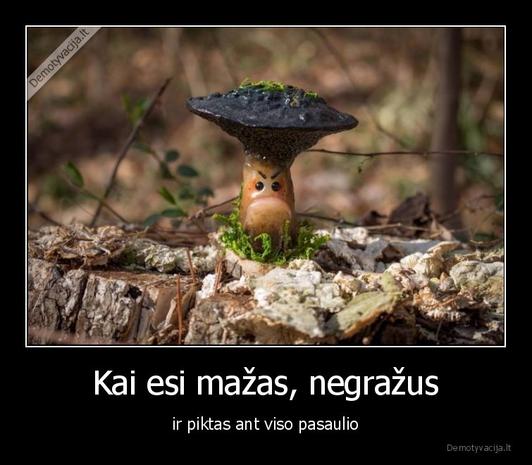 grybas,mazas,piktas,negrazus