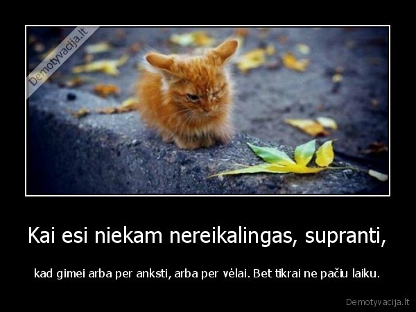Kai esi niekam nereikalingas, supranti,