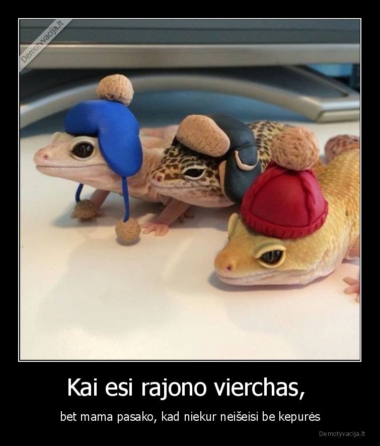 rajono,vierchas,kepure