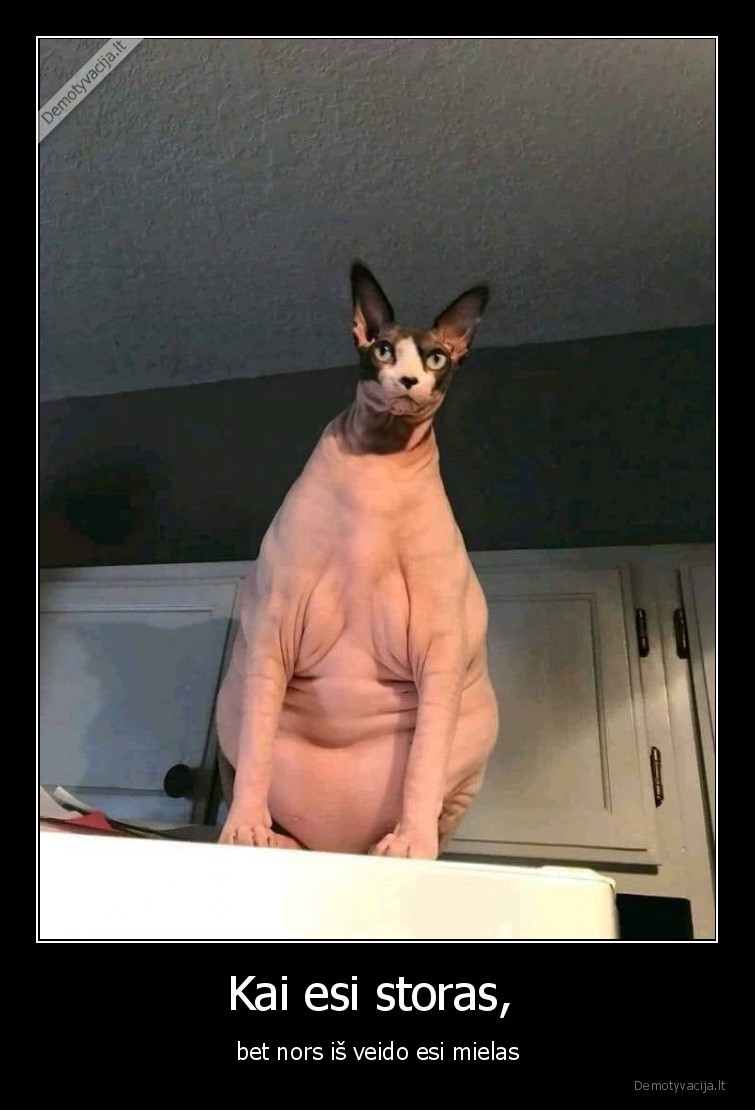 storas,sfinksas,veidas