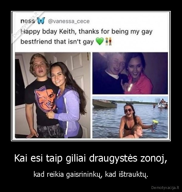 draugystes, zona,friend, zone