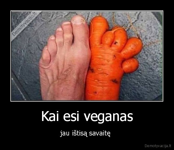 Kai esi veganas