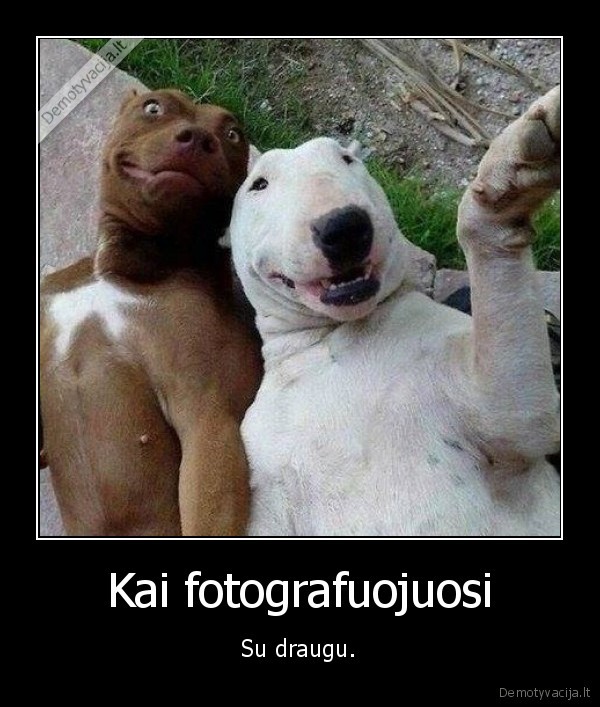 draugas,foto,nuotrauka