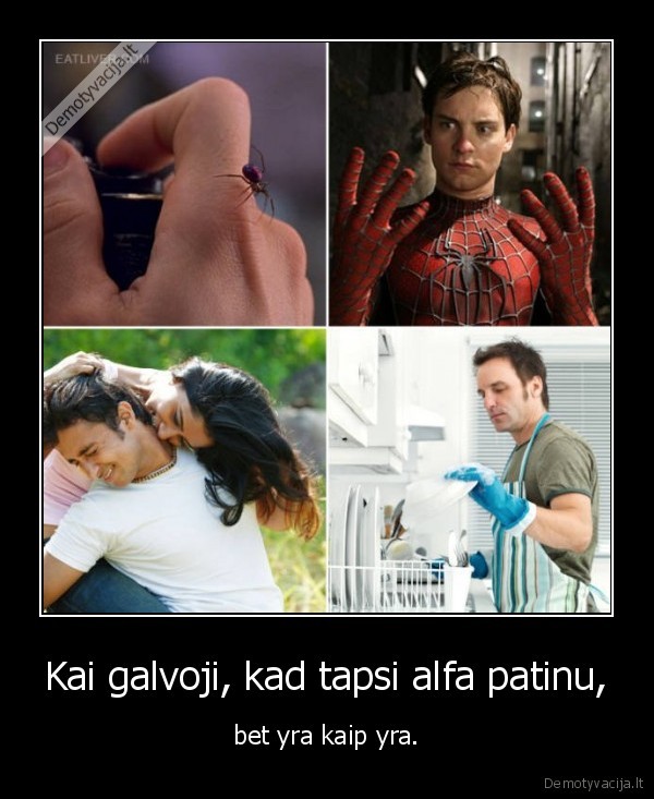 alfa, patinas,moteris,indaplove,vyras