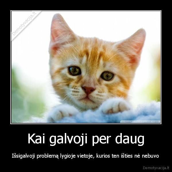 problemos,galvojimas,katinas
