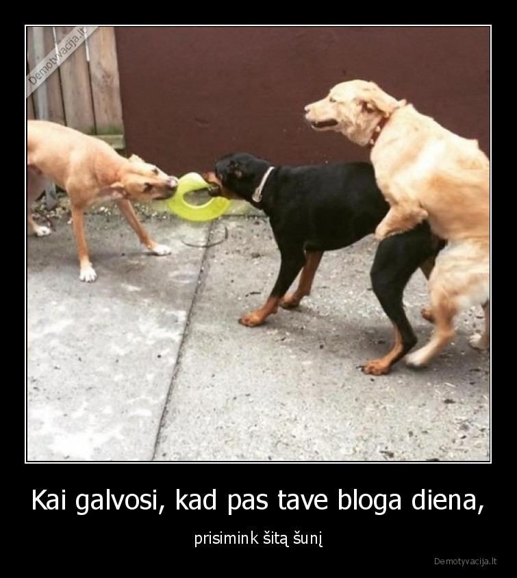 bloga,diena,nepasiseke,suo