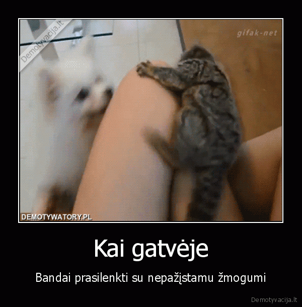 juokingas, suo,prasilenkimas