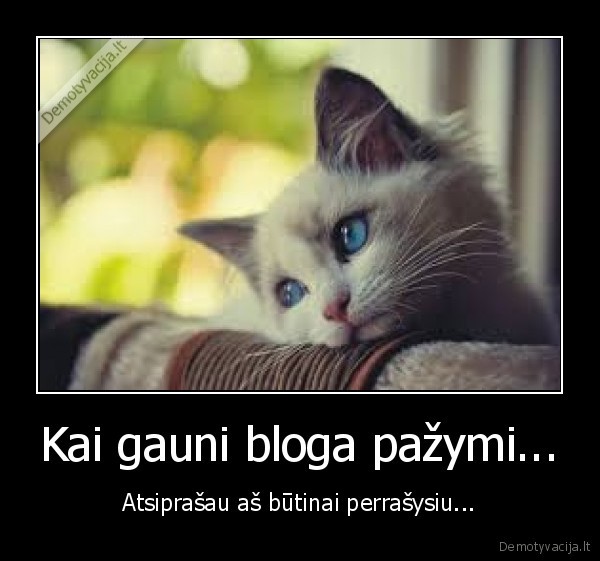 Kai gauni bloga pažymi...